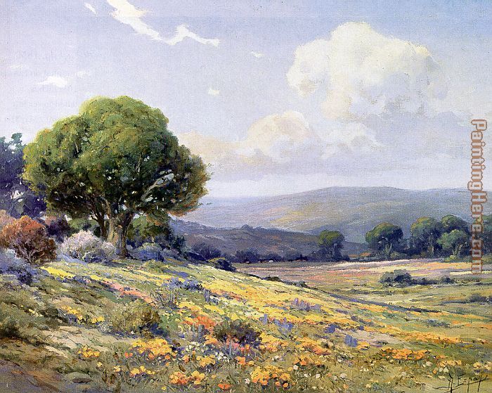 Angel Espoy California Wildflowers painting - Angel Espoy Angel Espoy California Wildflowers art painting